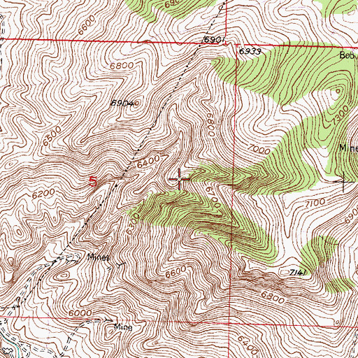 Topographic Map of Badger Ridge, MT