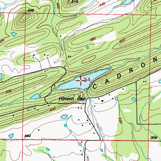Topographic Map of Williams Lake, AR