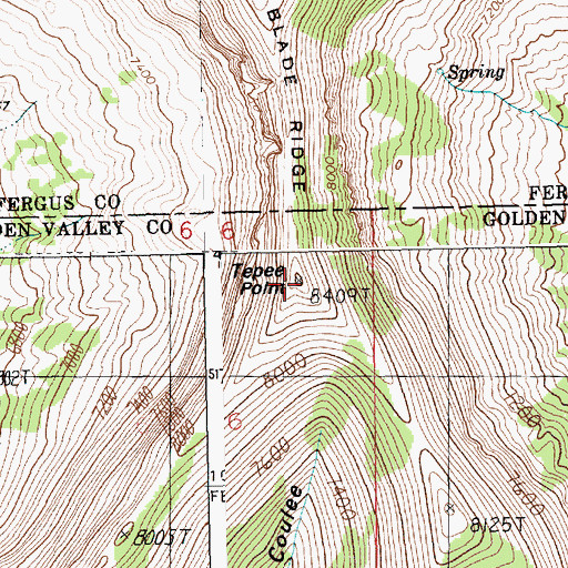 Topographic Map of Tepee Point, MT