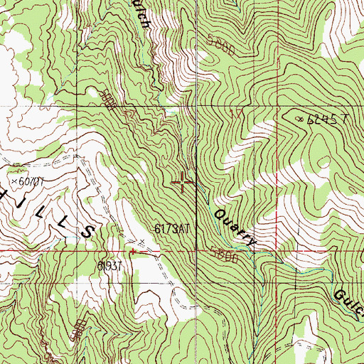 Topographic Map of Quarry Gulch, MT