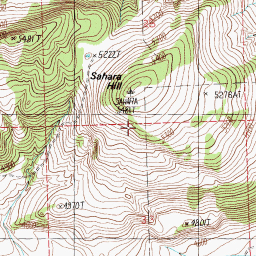 Topographic Map of Sahara Hill, MT