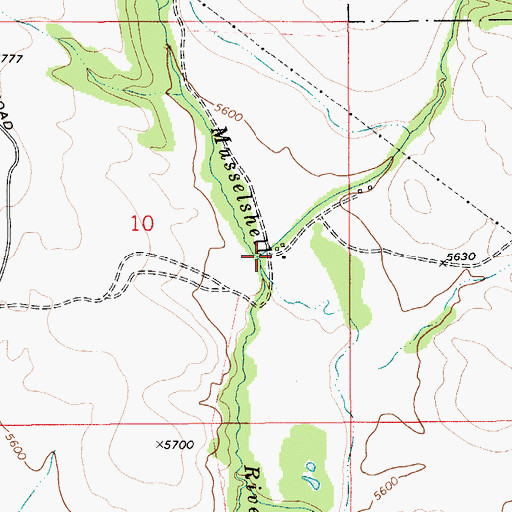 Topographic Map of Brock Ranch, MT