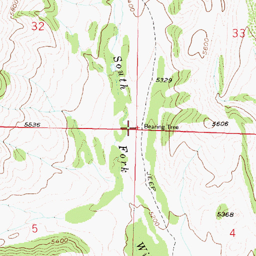 Topographic Map of Bearing Tree, MT