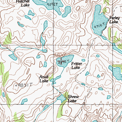 Topographic Map of Fritter Lake, MT