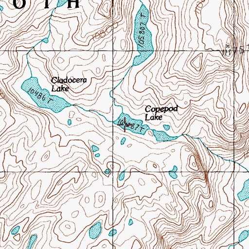Topographic Map of Copepod Lake, MT