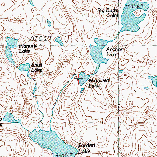 Topographic Map of Widowed Lake, MT