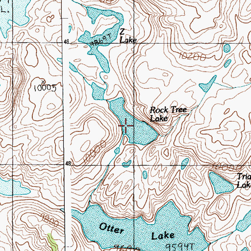 Topographic Map of Rock Tree Lake, MT