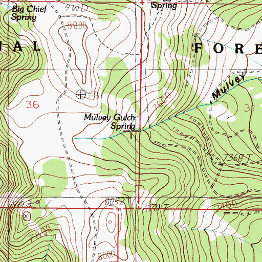 Topographic Map of Mulvey Gulch Spring, MT