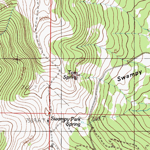 Topographic Map of Tom Spring, MT