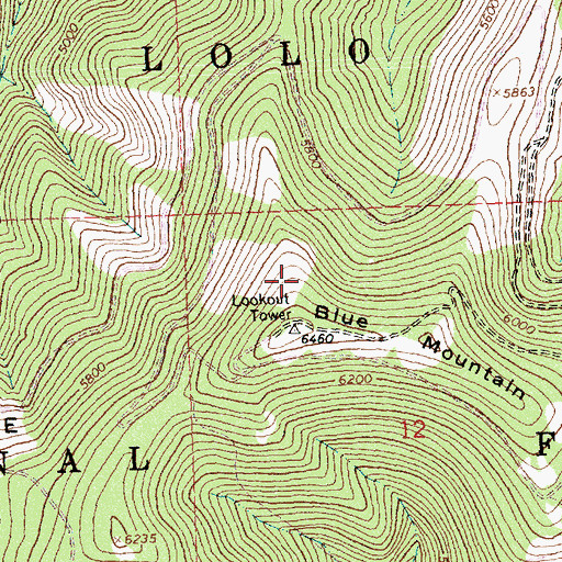 Topographic Map of Blue Mountain Lookout, MT