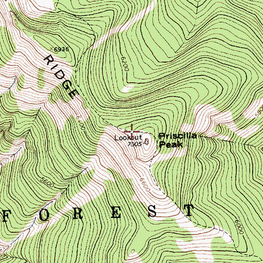 Topographic Map of Priscilla Peak Lookout, MT