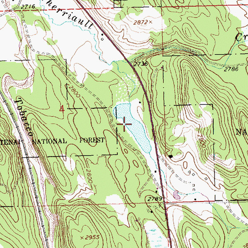 Topographic Map of Bass Lake, MT
