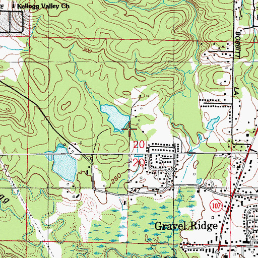 Topographic Map of Todd Lake Dam, AR