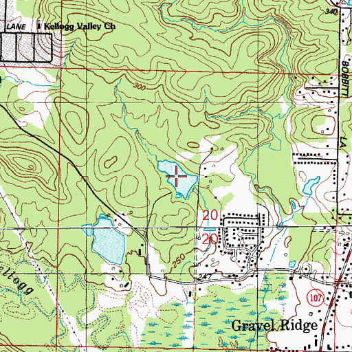 Topographic Map of Todd Lake, AR