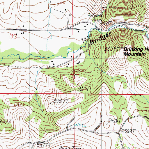 Topographic Map of Bridger Forest Service Station, MT