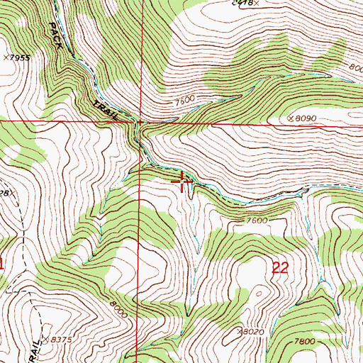 Topographic Map of Buffalo Creek, MT