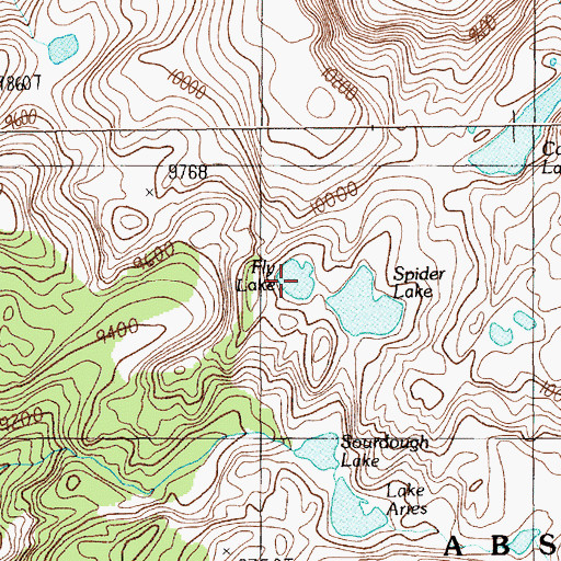 Topographic Map of Fly Lake, MT
