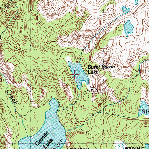 Topographic Map of Burnt Bacon Lake, MT