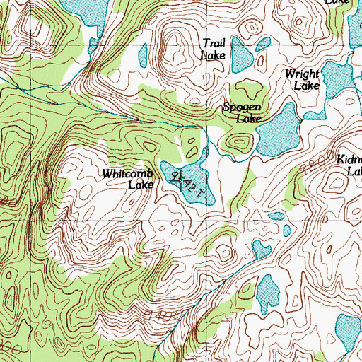 Topographic Map of Whitcomb Lake, MT