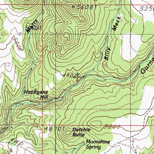 Topographic Map of Billy Mack Gulch, MT