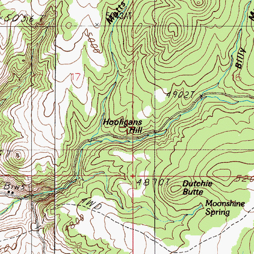 Topographic Map of Hooligans Hill, MT