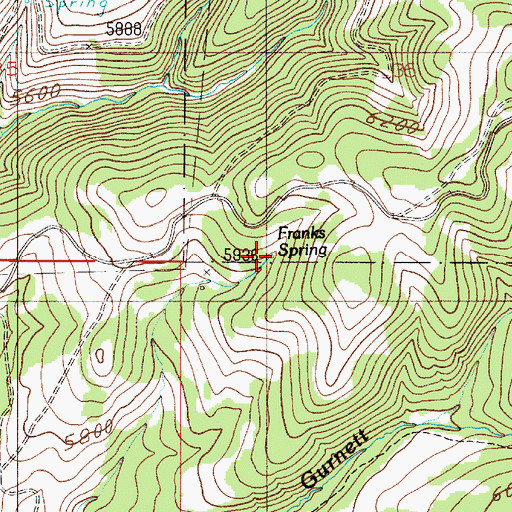 Topographic Map of Franks Spring, MT