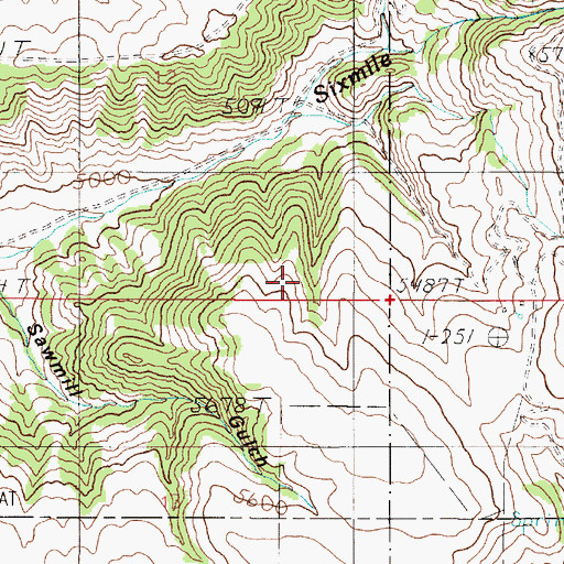 Topographic Map of Sawmill Gulch, MT