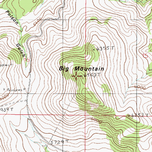 Topographic Map of Big Mountain, MT