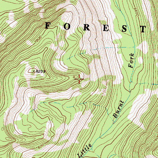 Topographic Map of Skalkaho Wildlife Management Area, MT