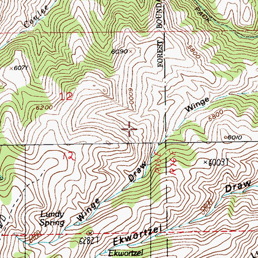 Topographic Map of White Spring, MT