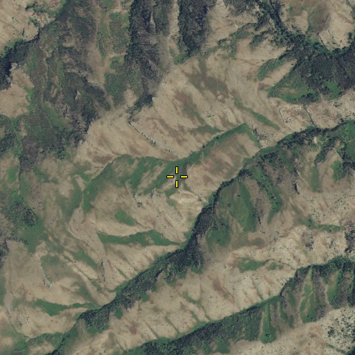 Aerial/Satellite Image of White Spring, MT