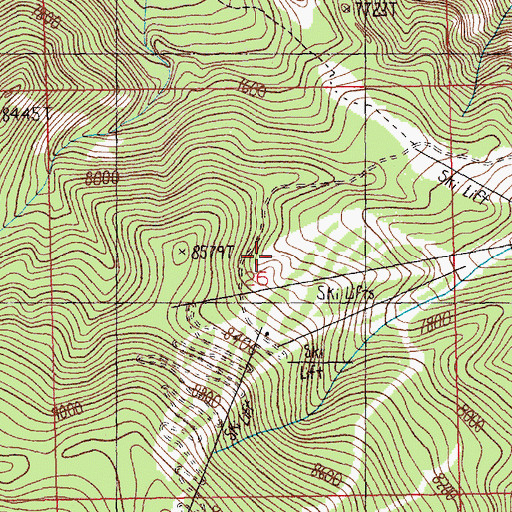 Topographic Map of Red Lodge Mountain Ski Area, MT