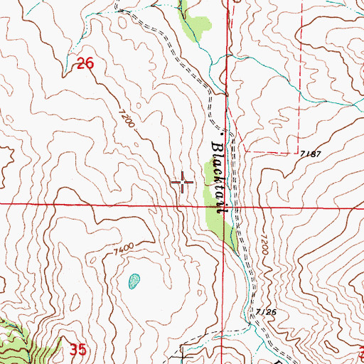 Topographic Map of Cornell Ranch, MT