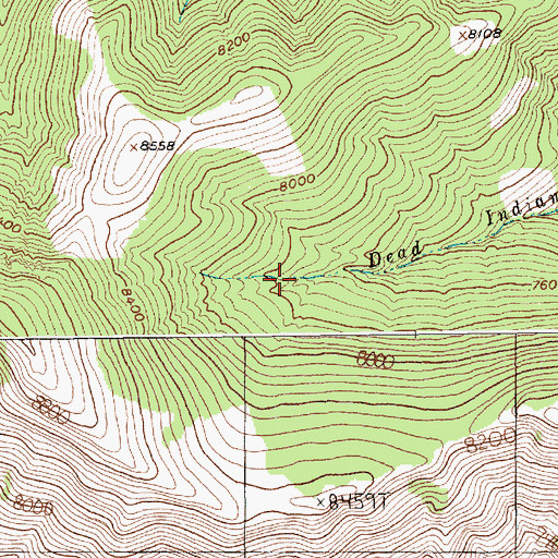 Topographic Map of Dead Indian Spring, MT