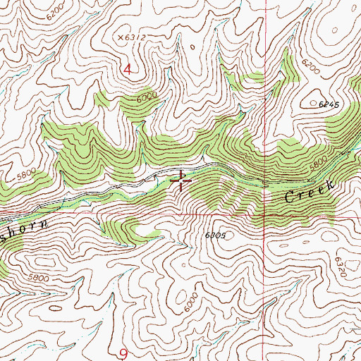 Topographic Map of Reese Gulch, MT