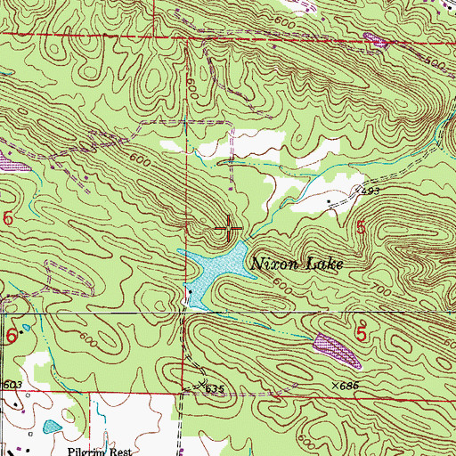 Topographic Map of Nixon Lake Dam, AR