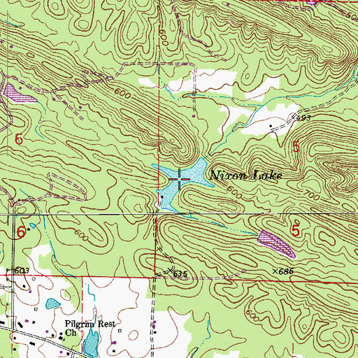Topographic Map of Nixon Lake, AR