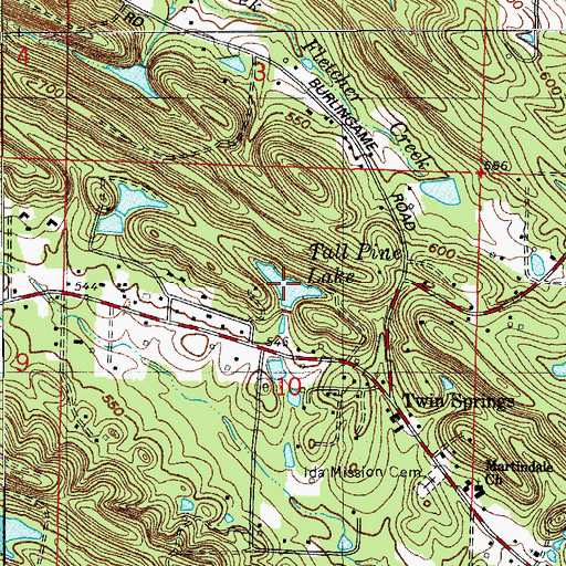 Topographic Map of Tall Pine Lake, AR
