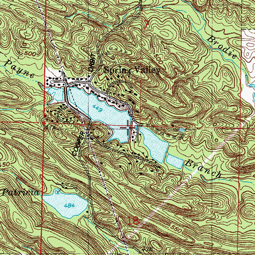 Topographic Map of Spring Lake Number One Dam, AR
