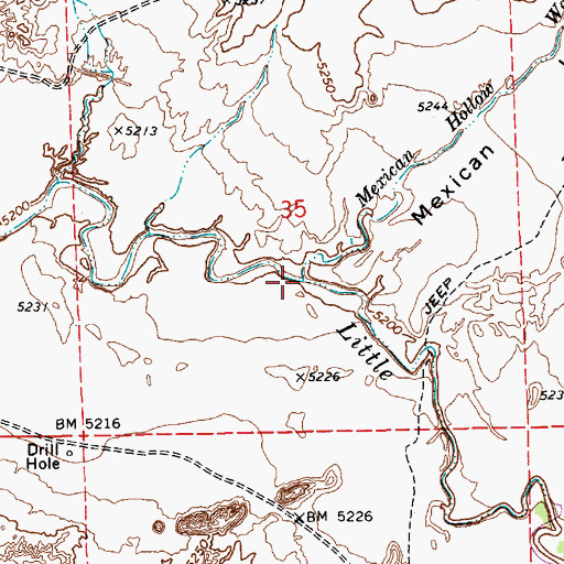 Topographic Map of Mexican Hollow Wash, AZ
