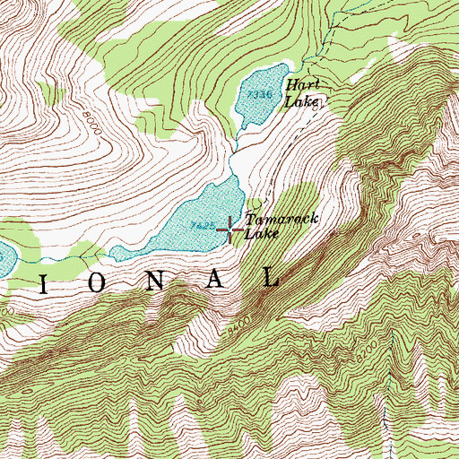 Topographic Map of Tamarack Lake Dam, MT