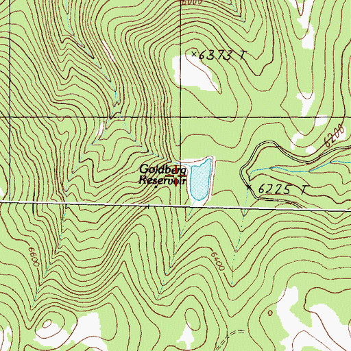 Topographic Map of Goldberg West Dam, MT