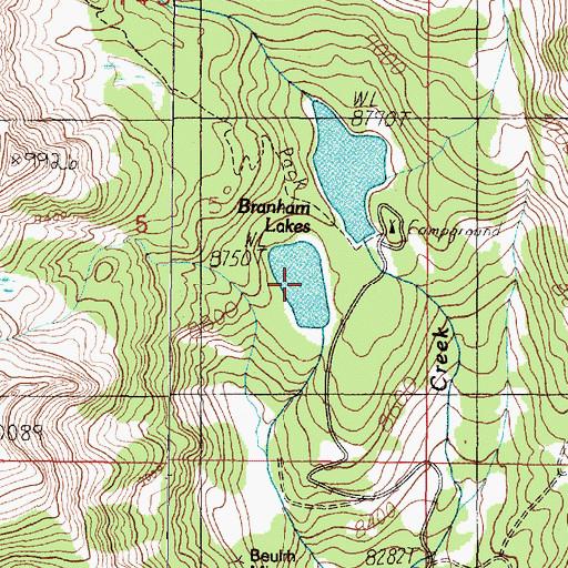 Topographic Map of Lower Branham Lake, MT