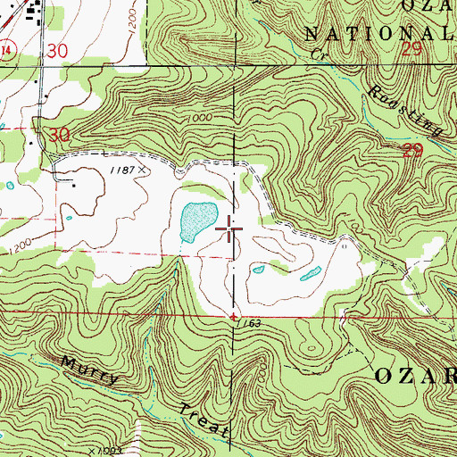 Topographic Map of Big Flat Lake Dam, AR