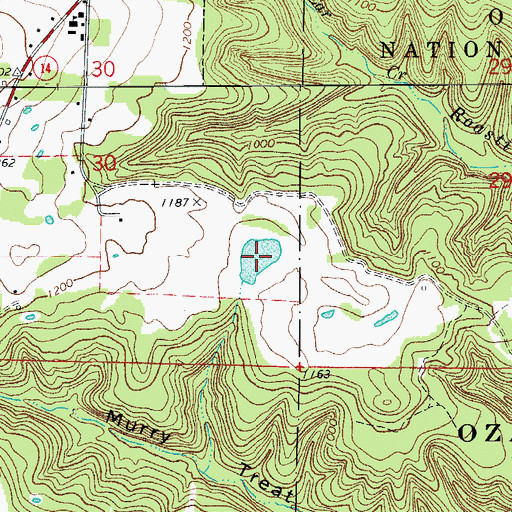 Topographic Map of Big Flat Lake, AR