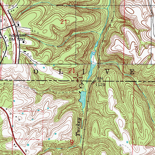 Topographic Map of Shaw Lake Dam, MO