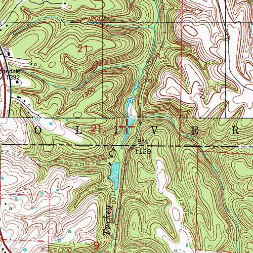 Topographic Map of Shaw Lake, MO