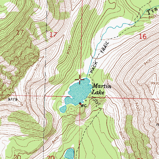 Topographic Map of Martin Lake Dam, MT
