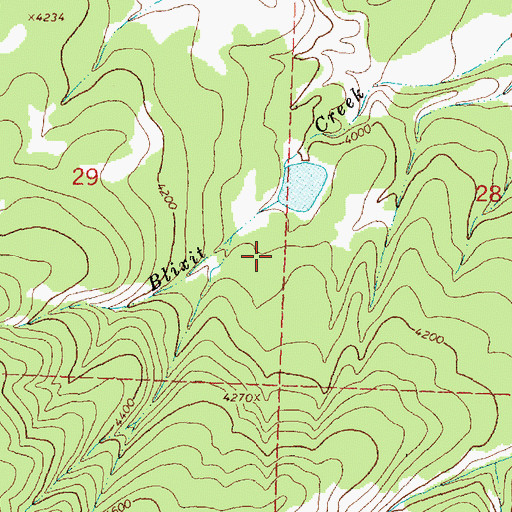 Topographic Map of Blixit Creek Dam, MT