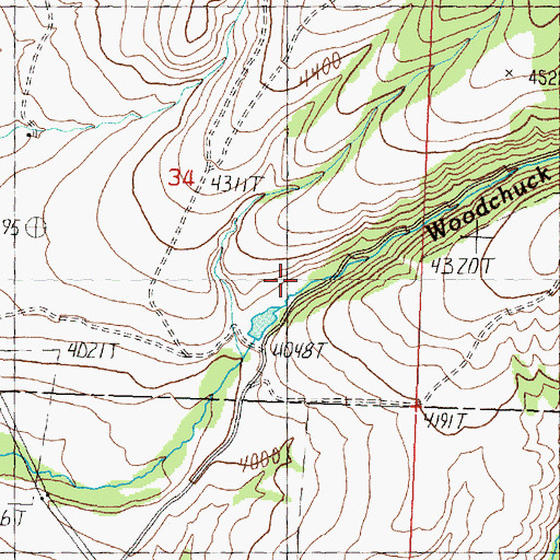 Topographic Map of Woodchuck Dam, MT